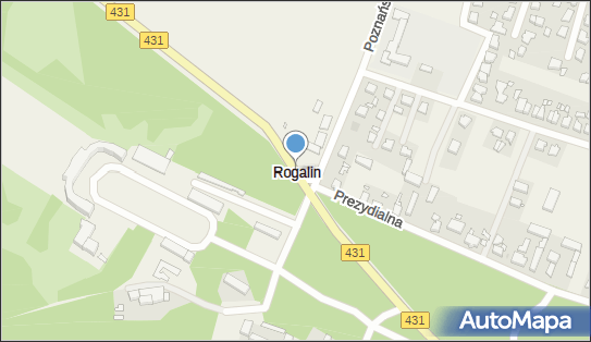Rogalin, Rogalin - Inne