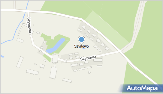 Szynowo, Szynowo - Inne