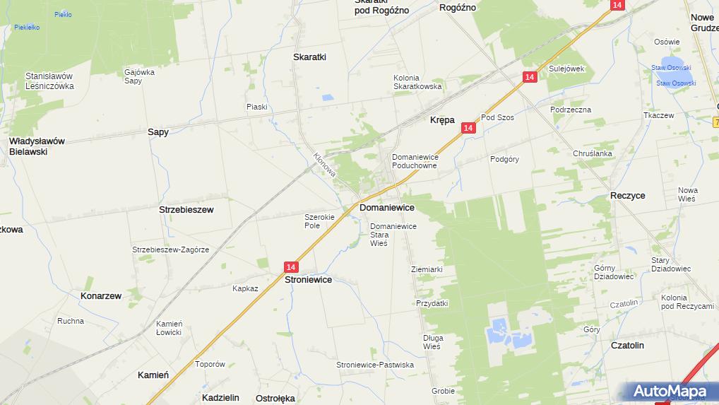 Domaniewice (województwo łódzkie), Domaniewice Inne